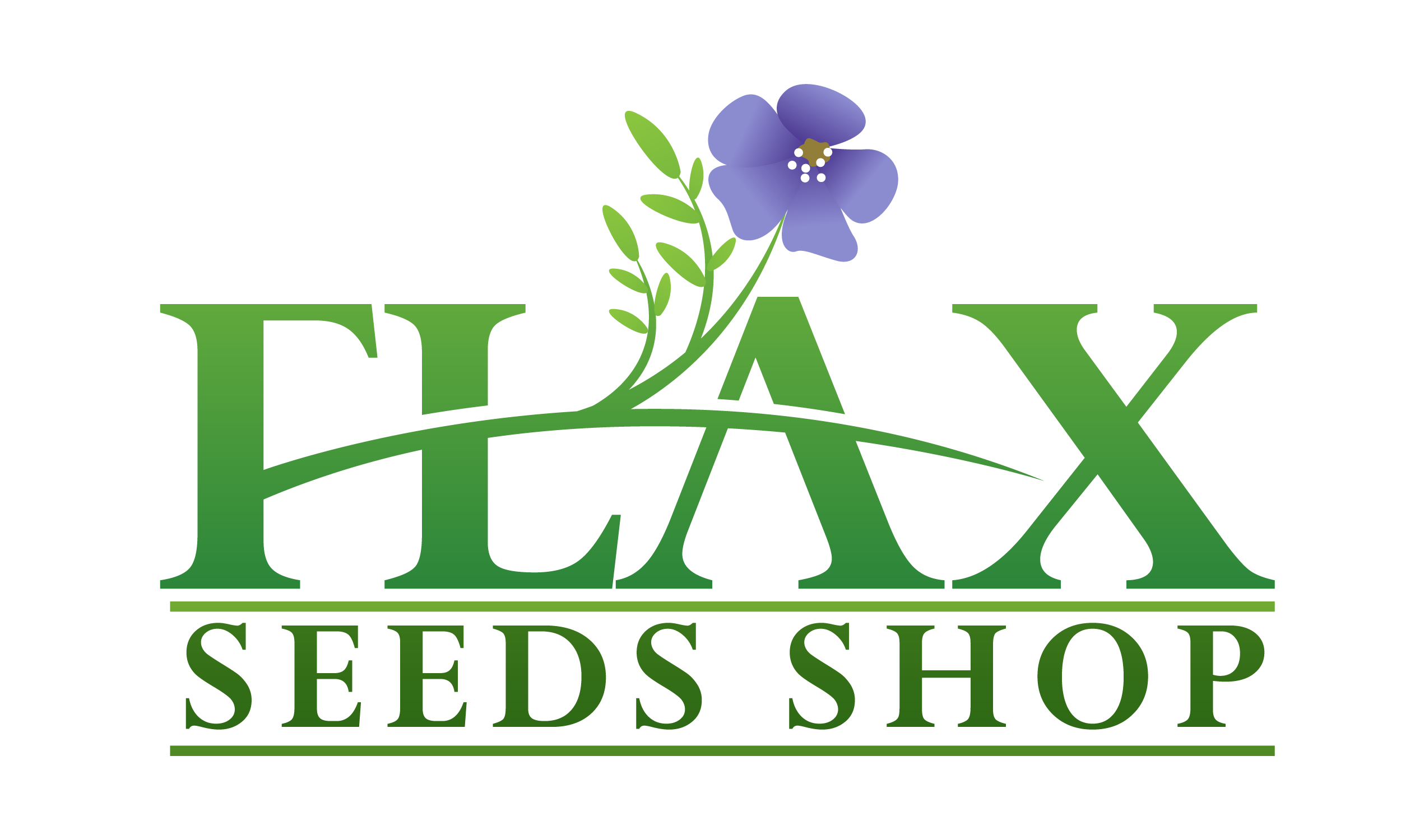 Flax Seeds Shop